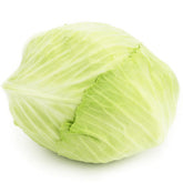 Velké balení (kg) - čerstvý mladý bílé zelí BIO (polské) (cca 8 kg)